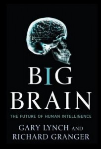 big-brain-book-cover